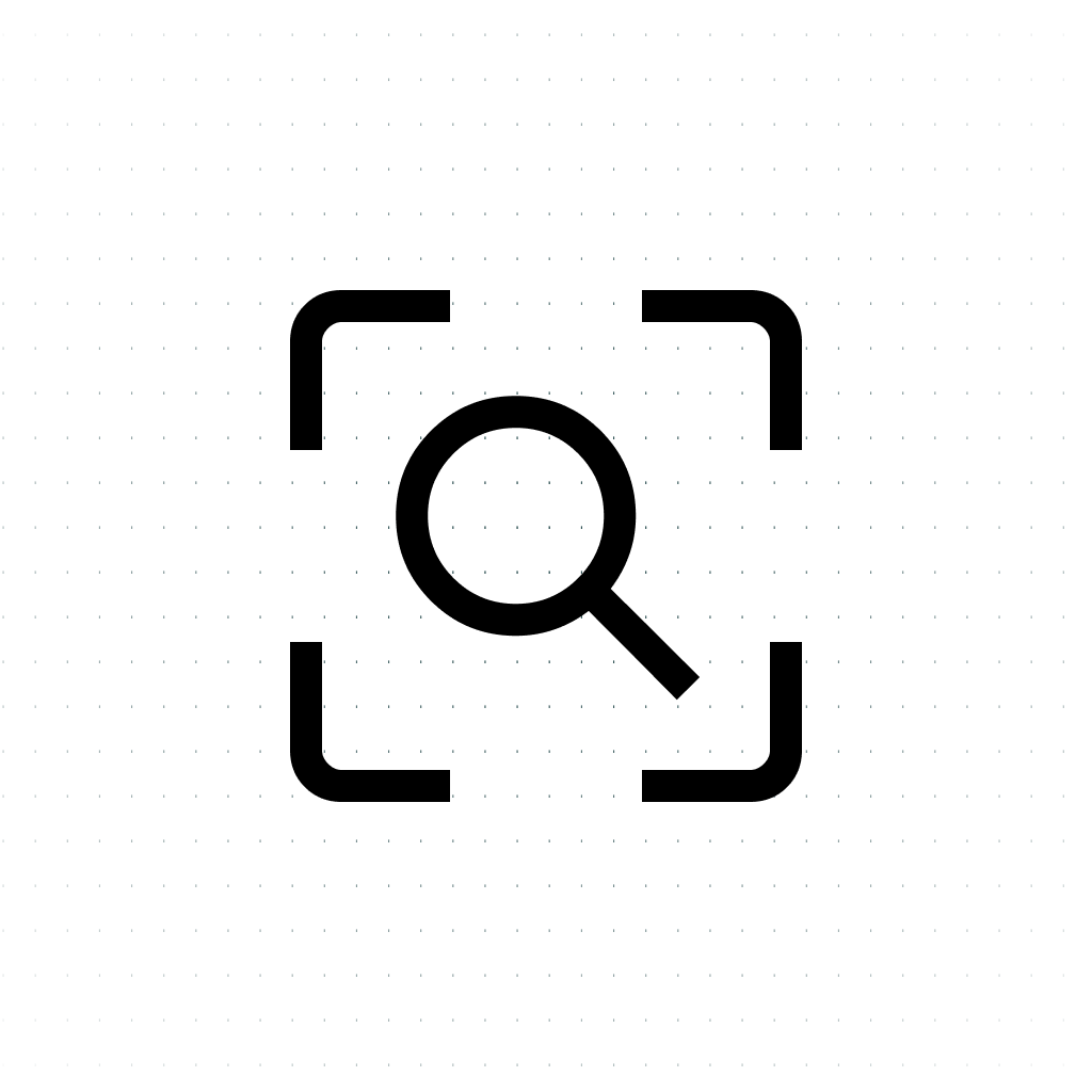 Vulnerability Identification